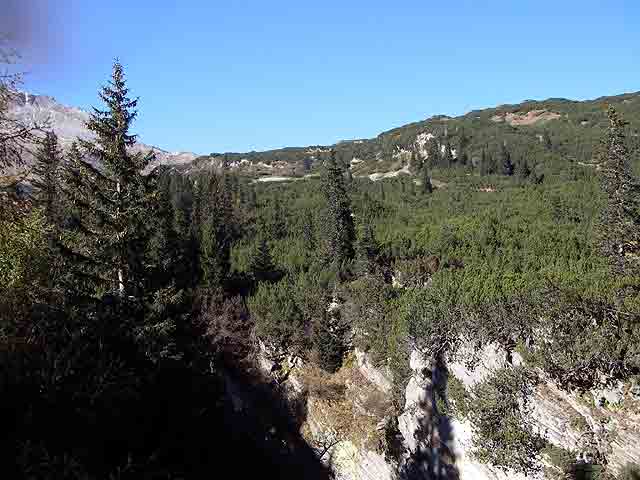 IMGP1843