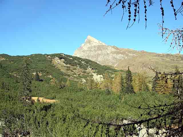 IMGP1844