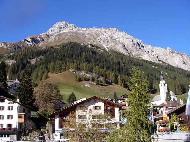 IMGP1861