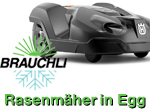 Brauchli Rasenmaeher